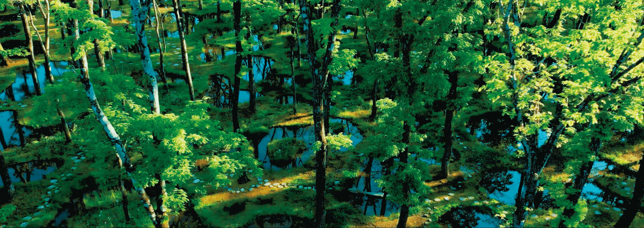 タカラレーベンとは