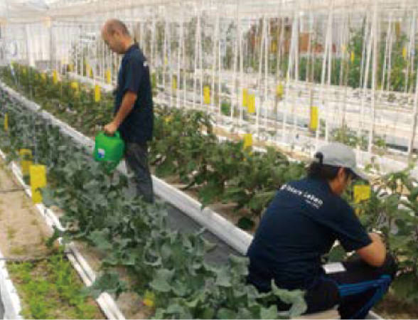 レーベンヴィレッジ