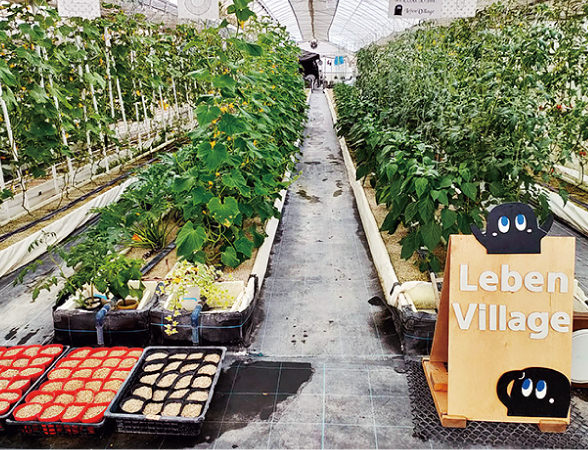 レーベンヴィレッジ